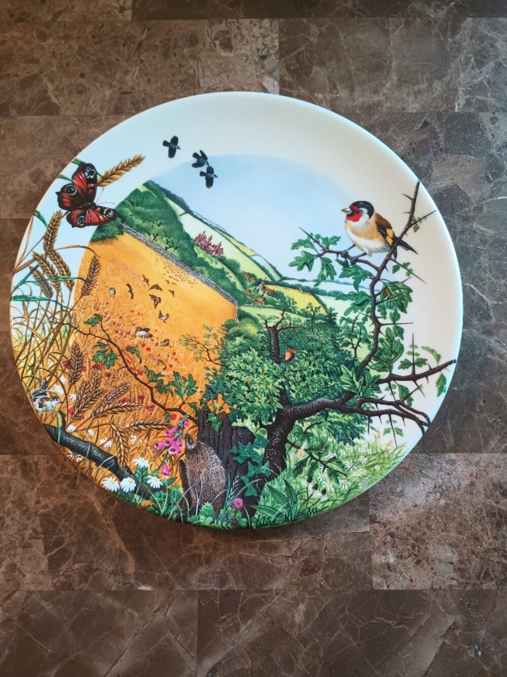Decorative Wedgwood plate